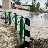 Bursa