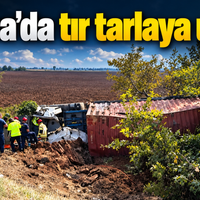 Asayiş