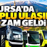 Bursa