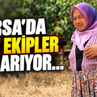 Bursa