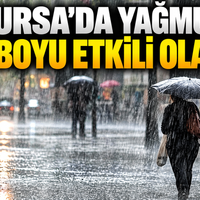 Bursa