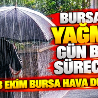 Bursa