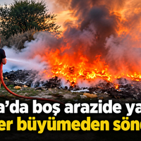 Bursa