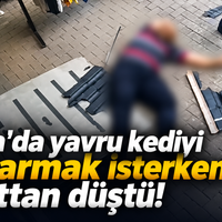 Asayiş