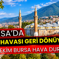 Bursa