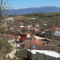Bursa