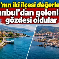 Bursa