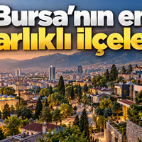 Bursa