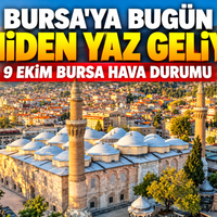 Bursa