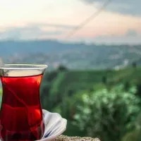 Sağlık