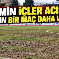Spor