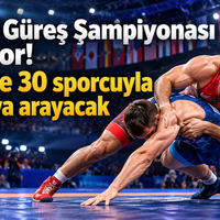Spor