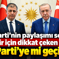 Siyaset
