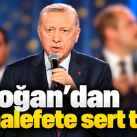 Siyaset