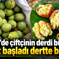 İnegöl