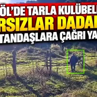 Asayiş