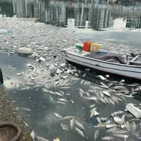 Gündem