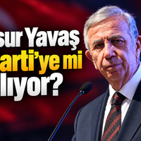 Siyaset
