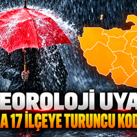 Bursa
