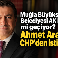 Siyaset