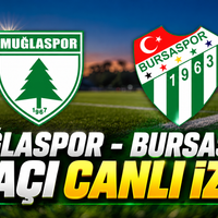 Bursa