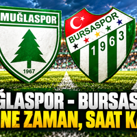 Spor