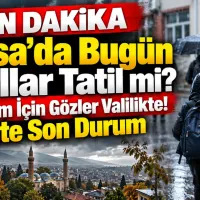 Bursa