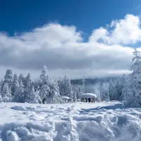 Bursa