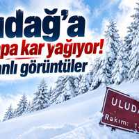 Bursa