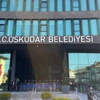 Siyaset