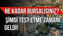 Ne Kadar Bursalısınız? Şimdi Test Etme Zamanı Geldi!
