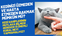 Kedinizi Üzmeden ve Hasta Etmeden Bakmak Mümkün mü? Kedi Sahiplerinin Mutlaka Bilmesi Gereken 13 Önemli Kural