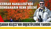 Cerrah Mahallesi’nde sonbaharın renk şöleni Şaban Kılıçcı'nın objektiflerine yansıdı