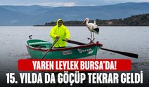 Yaren Leylek Bursa'da! 15. yılda da göçüp tekrar geldi