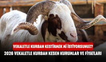 Vekaletle Kurban Kestirmek mi İstiyorsunuz? 2026 Vekaletle Kurban Kesen Kurumlar ve Fiyatları...