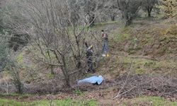 Ağaçtan düşen çiftçi hayatını kaybetti