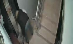 Ayakkabı hırsızı kameraya yakalandı