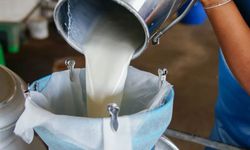 Çiğ süt üretimi azalıyor, fiyatı artıyor