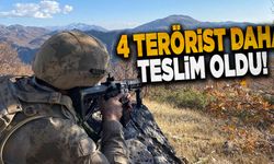 Terör örgütü PKK’dan kaçış sürüyor