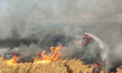 7 bin dönüm buğday tarlası yandı