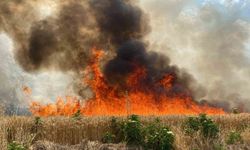 47 dönüm buğday tarlası 10 dakikada cayır cayır yandı