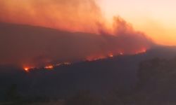 Orman yangını devam ediyor, iki köyün tedbir amaçlı tahliyesi planlanıyor