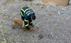 İnşaat temeline düşen köpeği itfaiye kurtardı