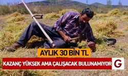 Bu işin aylık 30 bin lira kazancı var eleman bulunamıyor