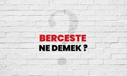 İlginç kelimeler | Berceste ne demek?