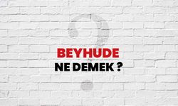 İlginç kelimeler: Beyhude ne demek?