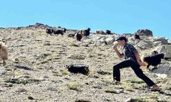 Çobanlık yapan Muhammet LGS'de Türkiye ikincisi oldu
