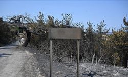 Çanakkale'de yangından etkilenen köylerdeki vatandaşlara maddi destek sağlanacak