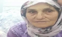 Devrilen traktördeki yaşlı kadın hayatını kaybetti