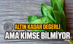 Altın kadar değerli ama kimse bilmiyor